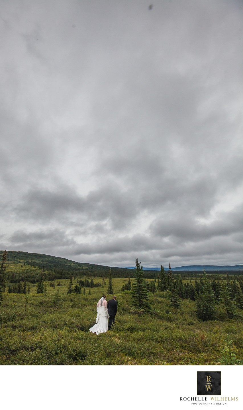 Destination wedding photos Denali National Park Alaska
