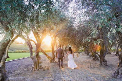 Olive Grove Wedding Leal vineyards