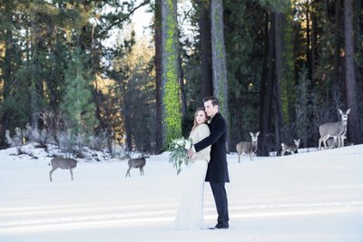 Best winter wedding photography in Graeagle, ca.