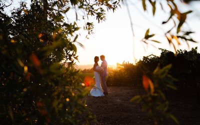 Best Sunset Wedding Photography in Sebastopol