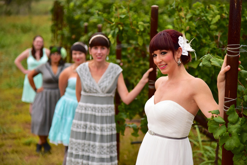 Bridal Party Portrat Vineyard Photograph William Chris