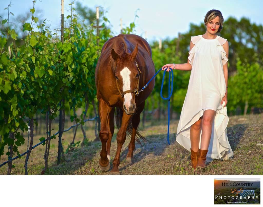 Horse and Bride in the vineyard at Hawks Shadow