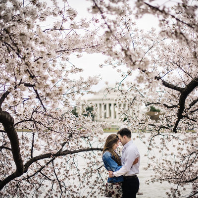 Couple near Cherry Blossoms by the Jefferson Memorial