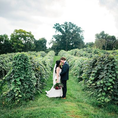 Shenandoah Valley Wedding Photographer 