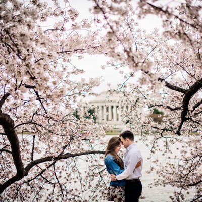 DC Cherry Blossom Engagement Session 