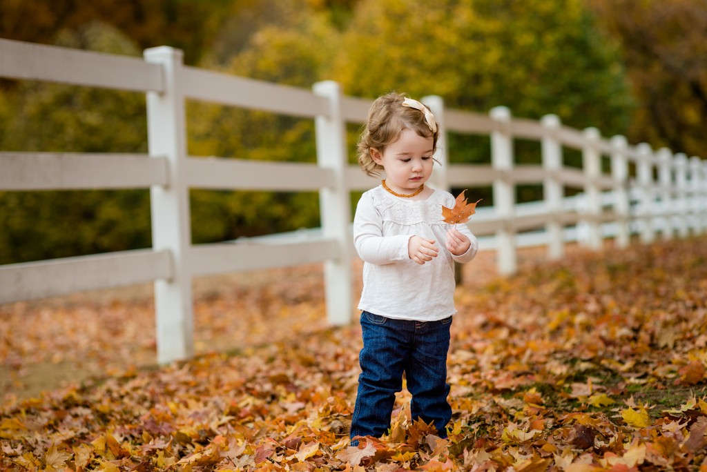 Fall Toddler Portraits