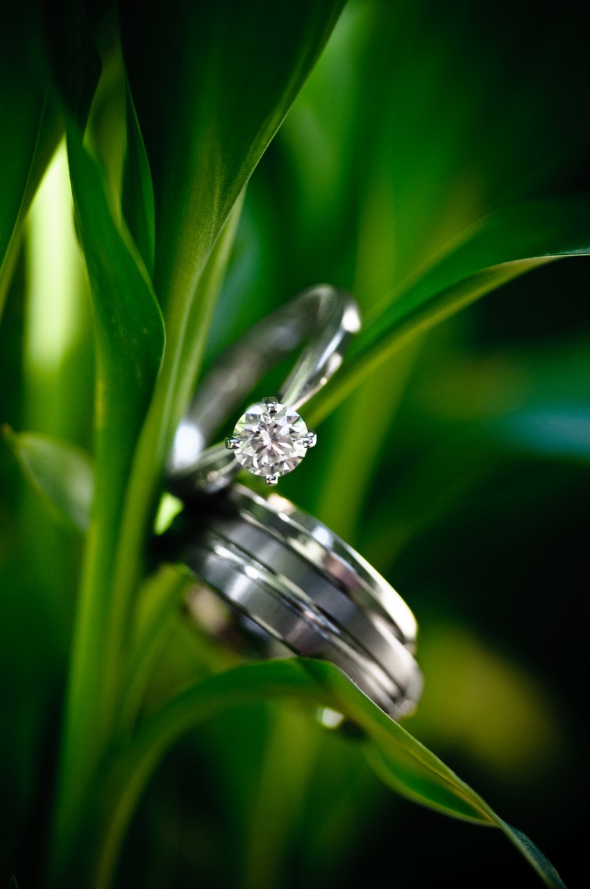Macro Ring Photography