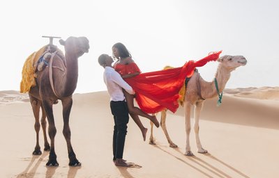 Desert Camel Shoot