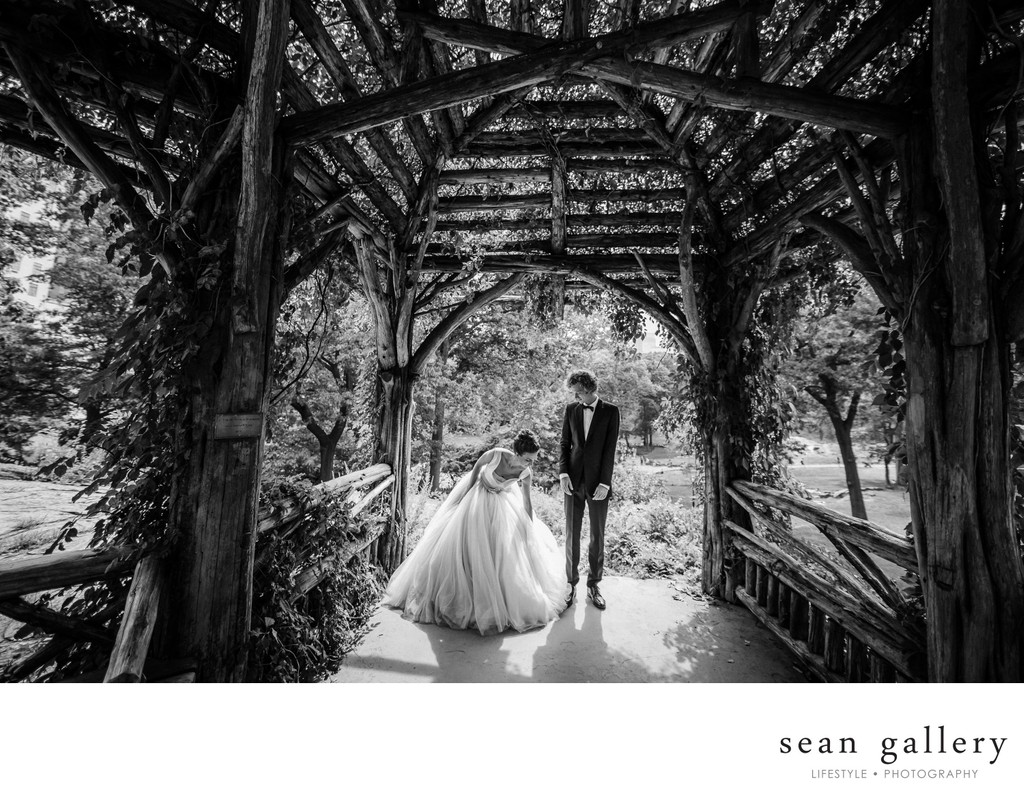 Central Park wedding photos by seankim