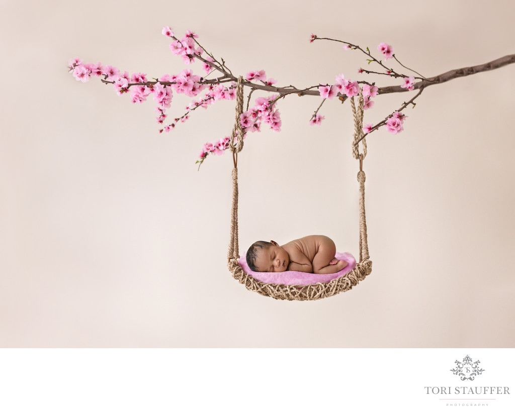 Philadelphia Newborn Photographer Hanging Cherry Tree