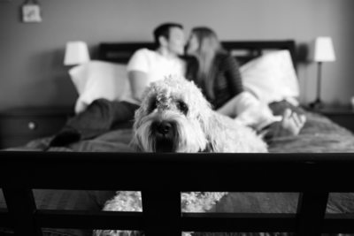 Home Engagement Photographs with Dog | Seattle | Snoqualmie