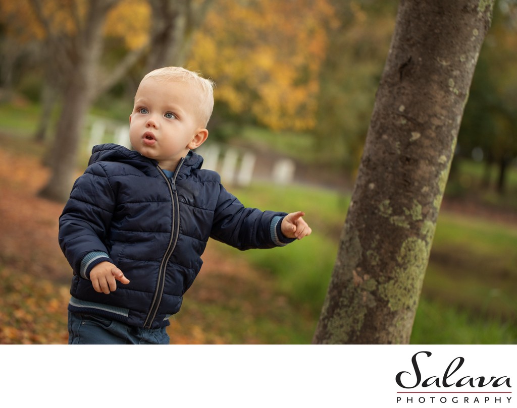 Little Boy Portrait