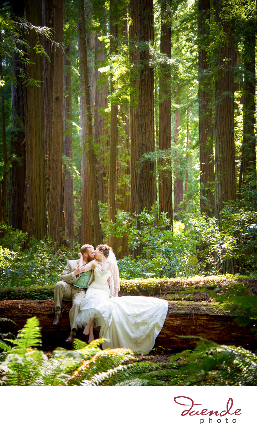 Couple in the Redwoods