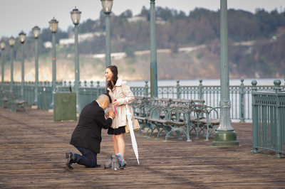 San Francisco Pier 7 Surprise Proposal_070