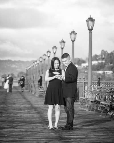 San Francisco Pier 7 Surprise Proposal_044
