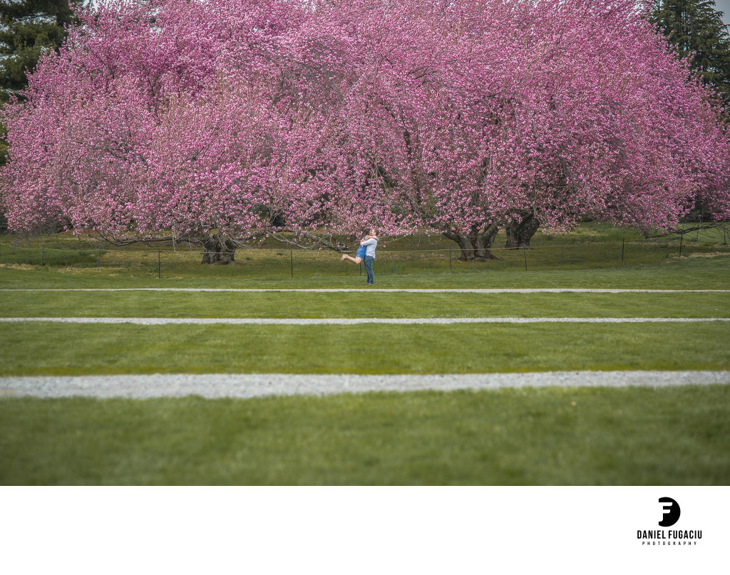 Longwood Gardens cherry blossom engagement photos