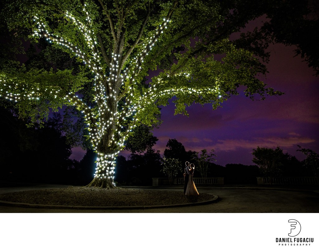 Curtis Arboretum couple under lit tree