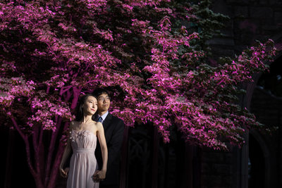 Portrait of engaged couple in front of pink tree