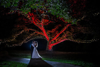 Bride and groom kissing under red tree with lights