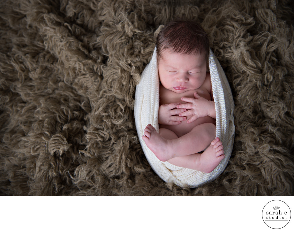 Sweet Womb Like Photo of a St. Louis Newborn