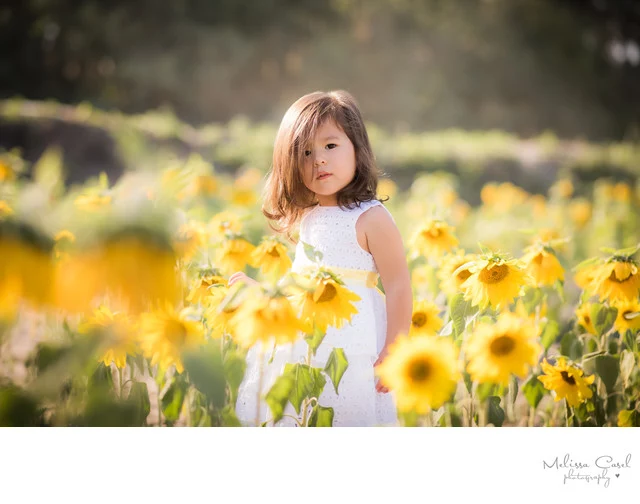 Sunflower Field Child Portrait Palm Beach Photographer South