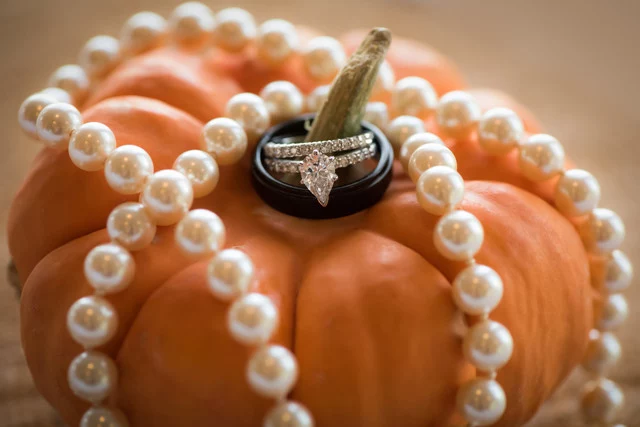 Halloween Fall Theme Wedding Ring Florida Photographer Weddings