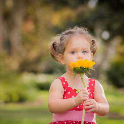 Toddler girl photographer sunflowers Parkland