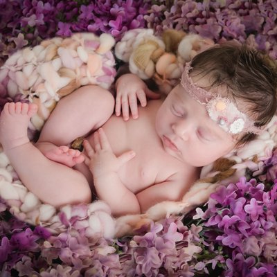 newborn baby best photographer broward studio flowers 