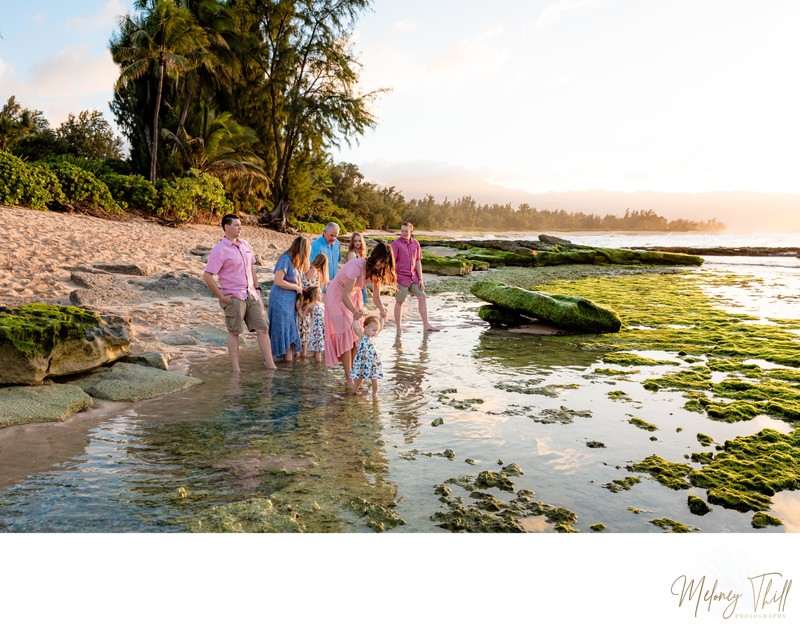 Group Family Photo - North Shore - Hawaii