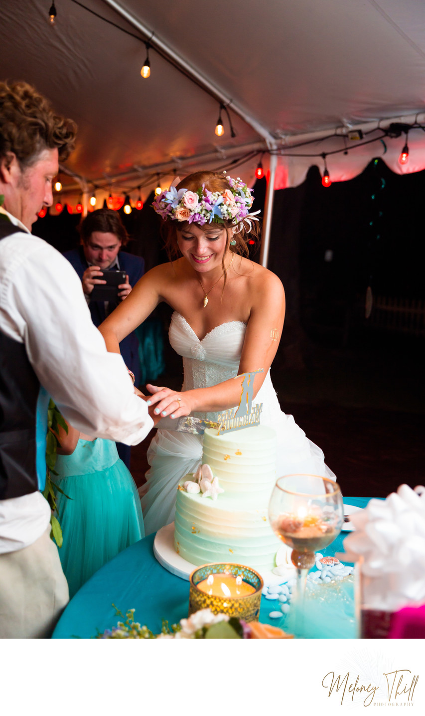 Wedding photo - Cutting the cake