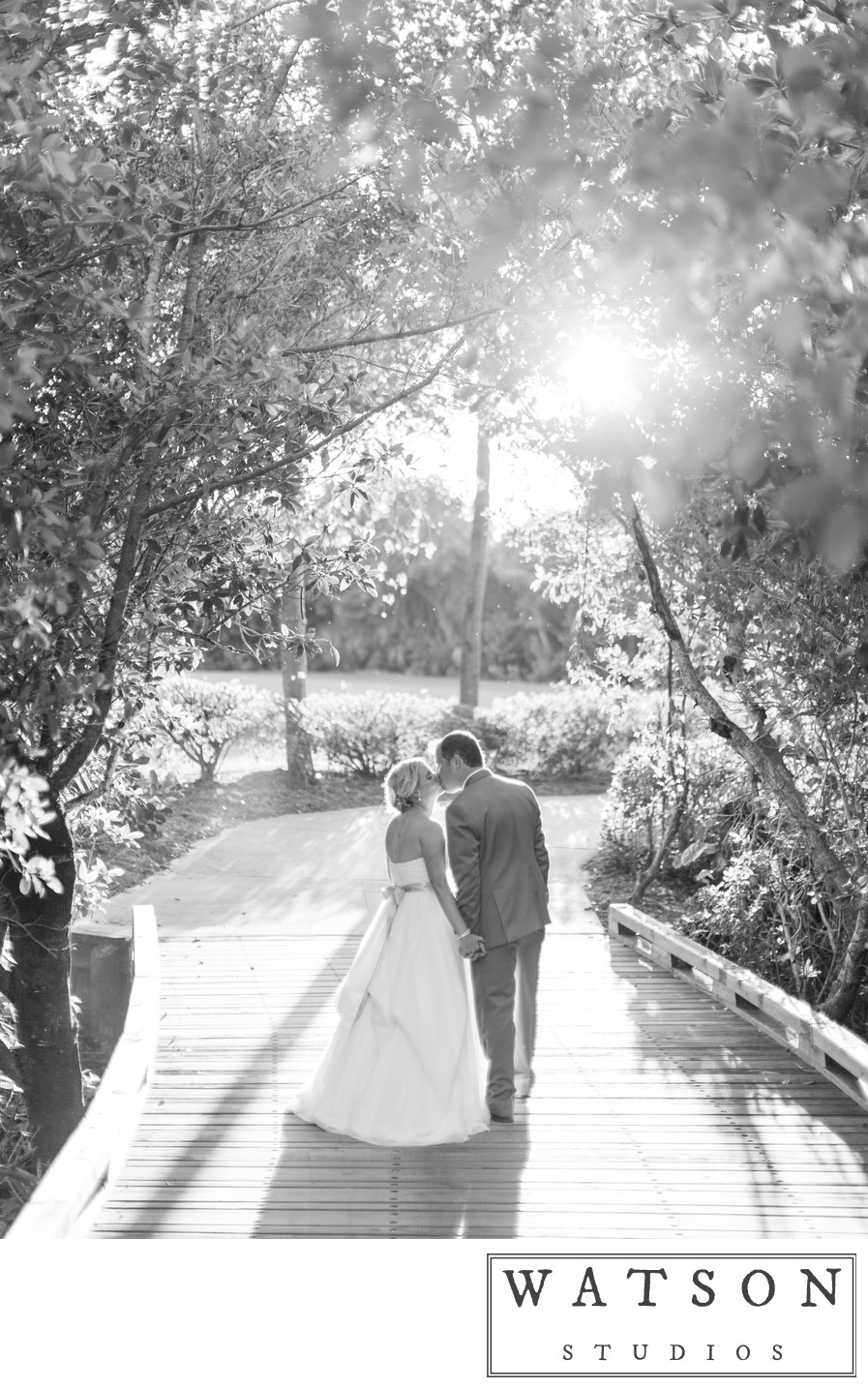 Wedding Photographers in Southwest Florida