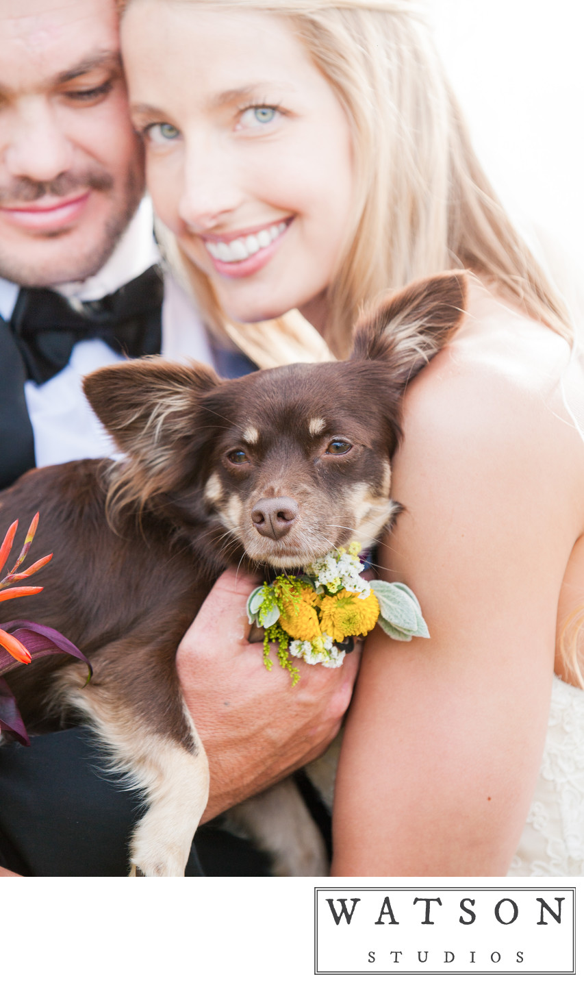 Bride and Groom with Dog at Wedding