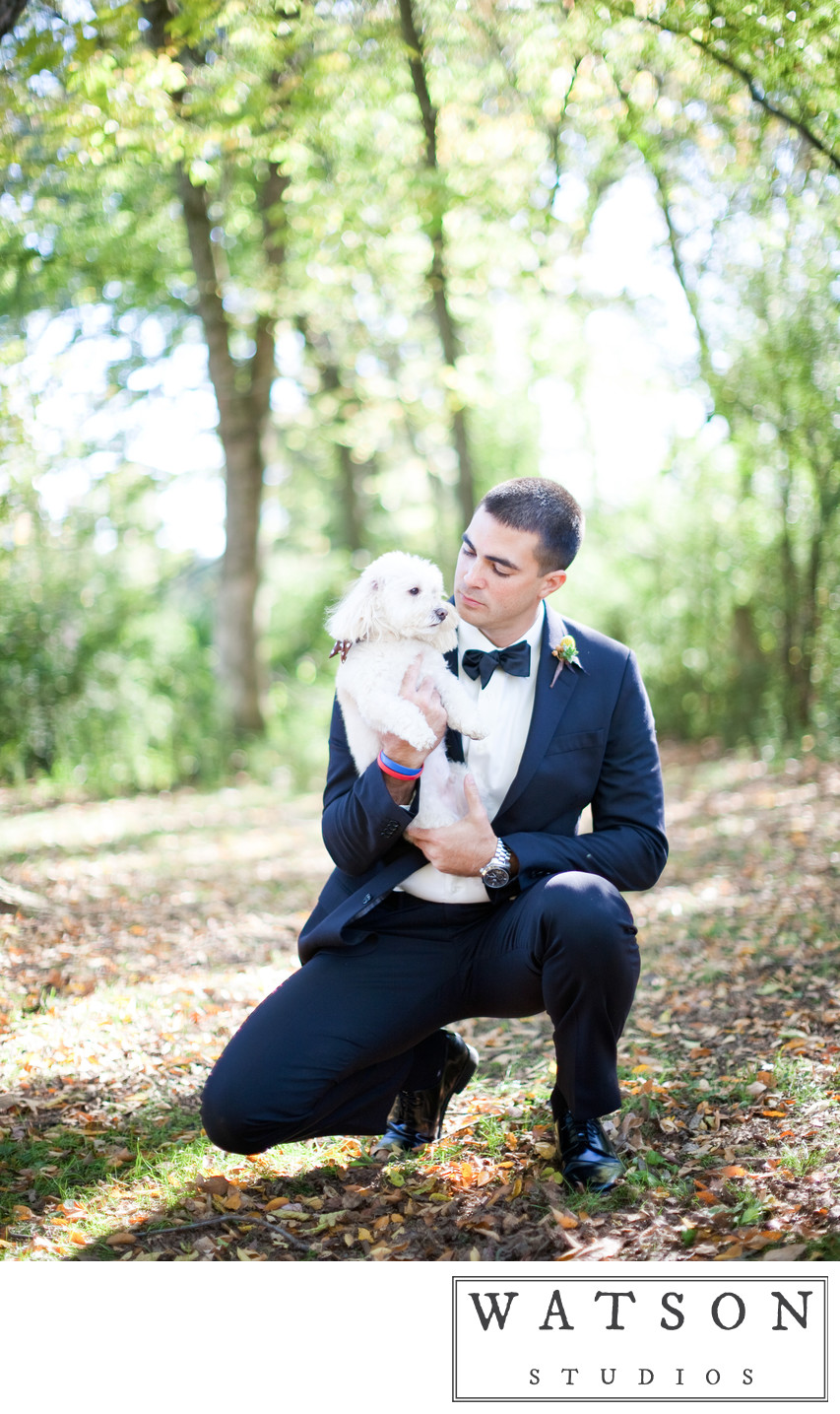 Weddings with Dogs Included in the Ceremonies