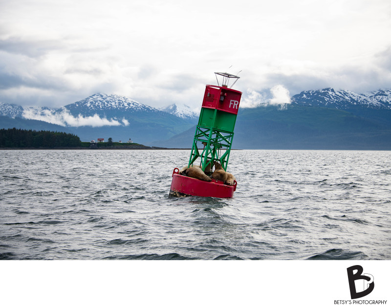 Point Retreat Lighthouse + Buoy with Alaskan Mountains
