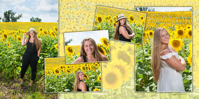 Senior Portraits in a Field of Sunflowers (Dexter, MI)