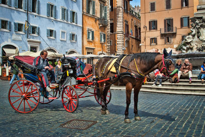 Horse-Drawn Carriage in Italy, Street Scene.