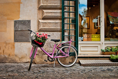 Bike with Flowers - Fine Art Print