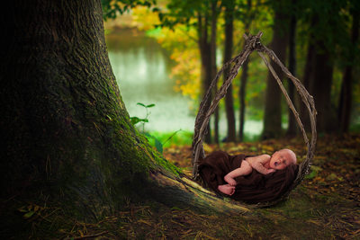 Newborn Portrait in Woods