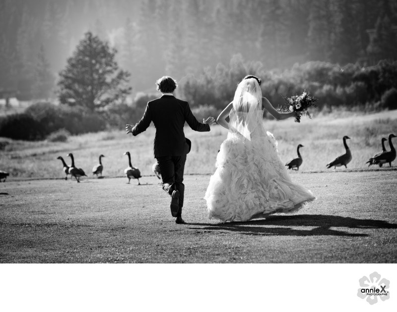 Professional Wedding  Whotographer Resort Squaw Creek
