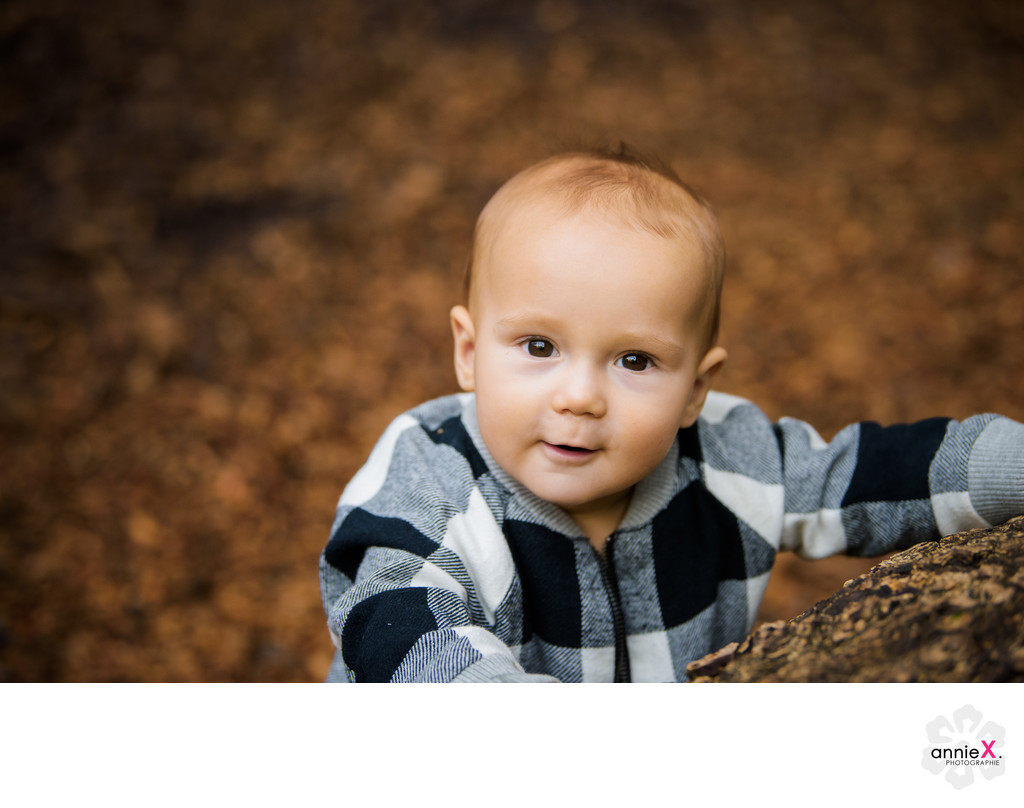 Mill Valley baby photographer
