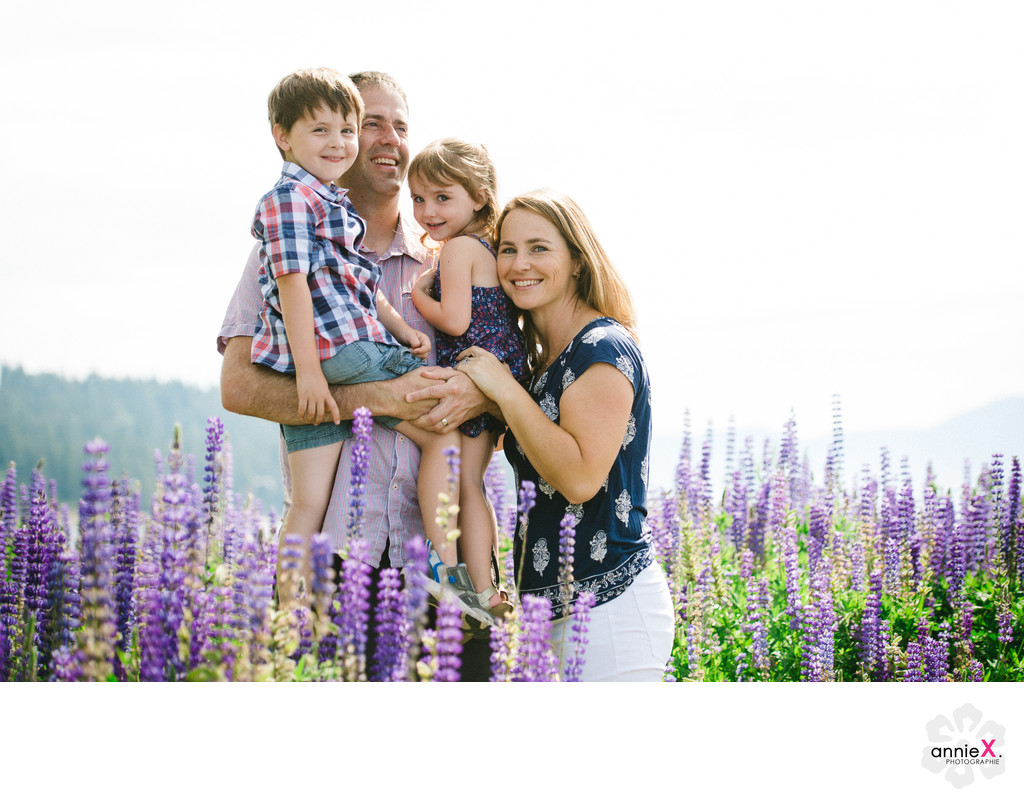 Field of Lupins family photography