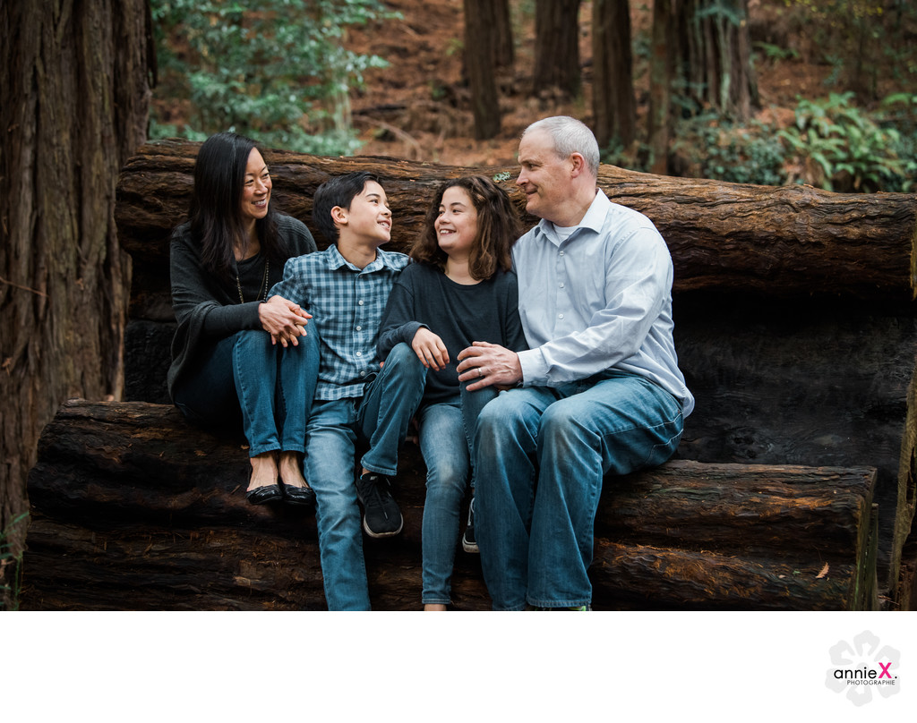 family photographer in the Redwoods