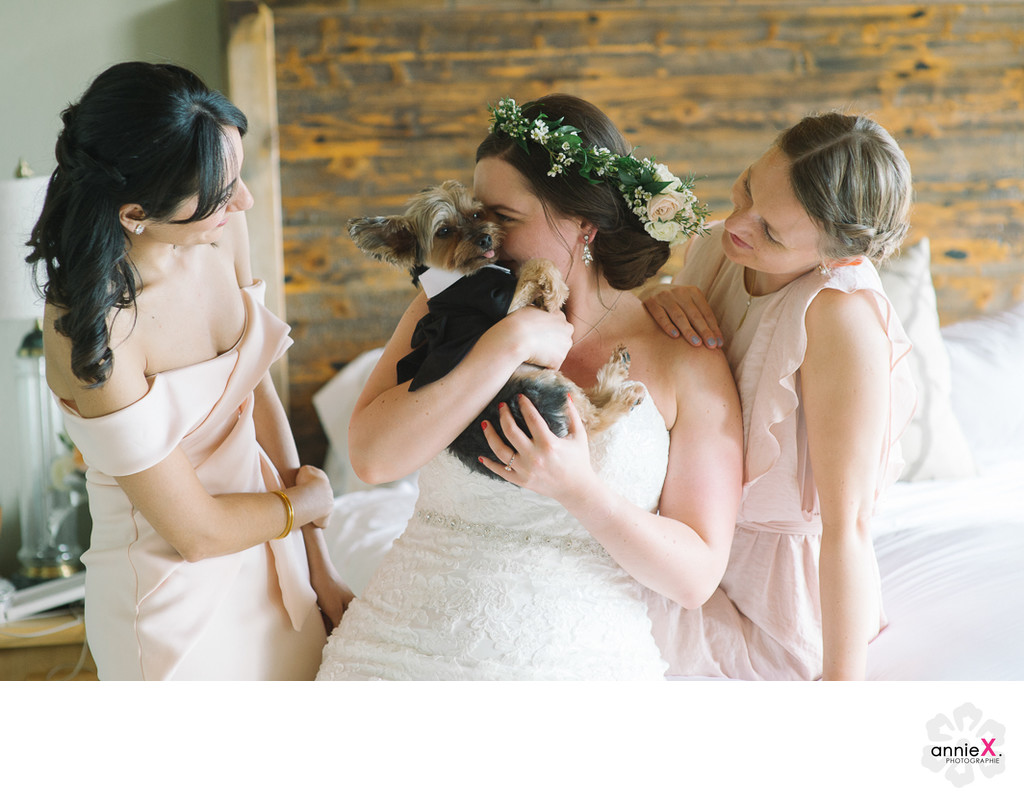 Dog in wedding with bridesmaids