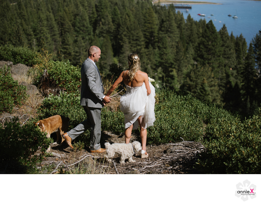 Newlyweds with their dogs over Tahoe city in Lake Tahoe