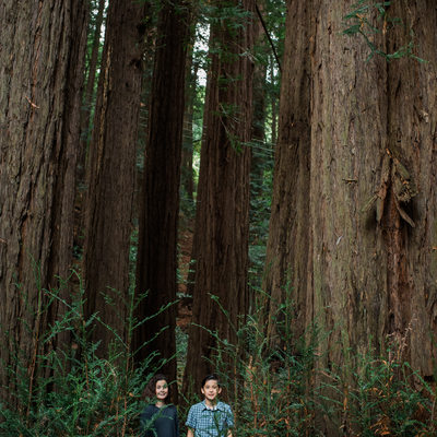 Children Photographer Redwood trees