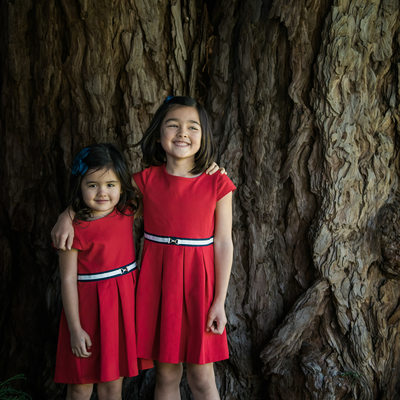 Redwood tree family session