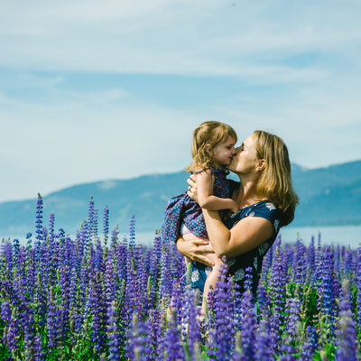 Wild Flowers in Lake Tahoe