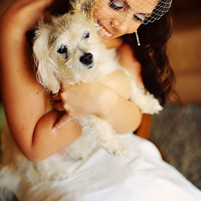 Bride and her dog in South Shore Lake Tahoe