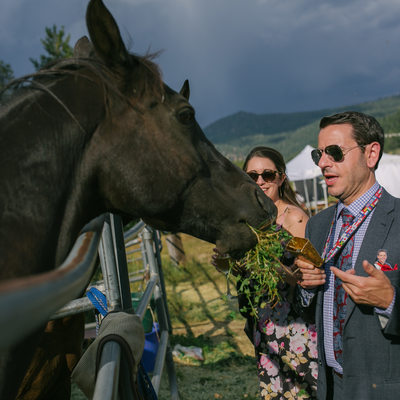 guests during reception at Olympic Valley Stables