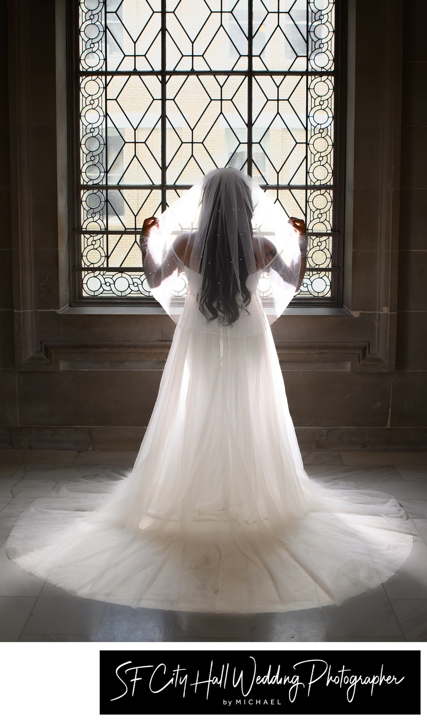 Back of the Wedding Dress - SF City Hall Photography